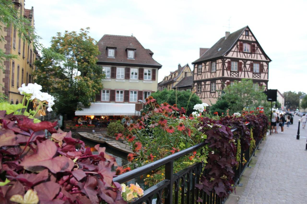 Appartement Grenier A Sel Gentleman Colmar Kültér fotó