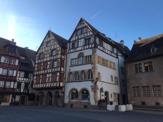 Appartement Grenier A Sel Gentleman Colmar Kültér fotó