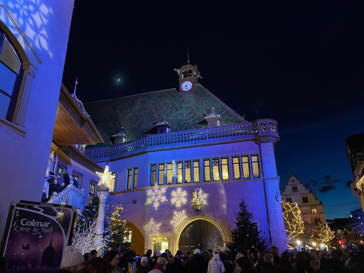 Appartement Grenier A Sel Gentleman Colmar Kültér fotó