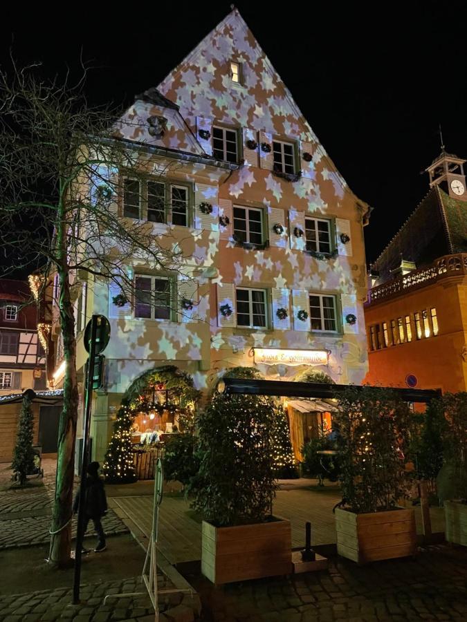 Appartement Grenier A Sel Gentleman Colmar Kültér fotó